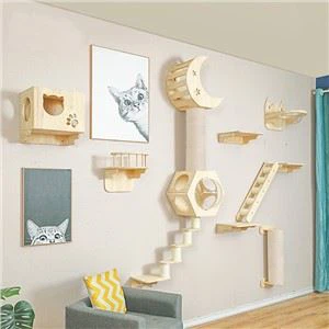 Pie sienas stiprināmi kaķu kāpšanas plaukti